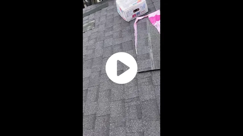 Our Videos